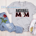 Baseball Mom Transfer
