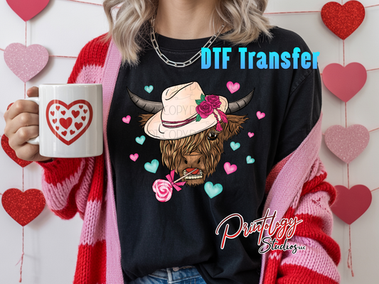 Highland Cow Transfer