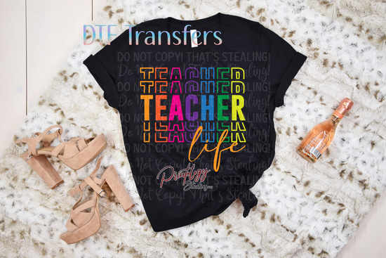 Teacher Life Transfer